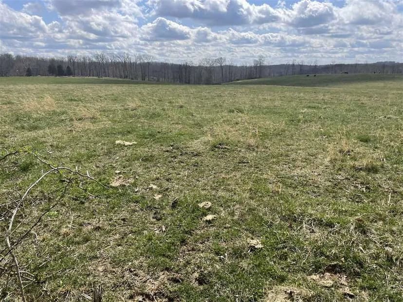 East Pilot Knob Road Cattle Farm