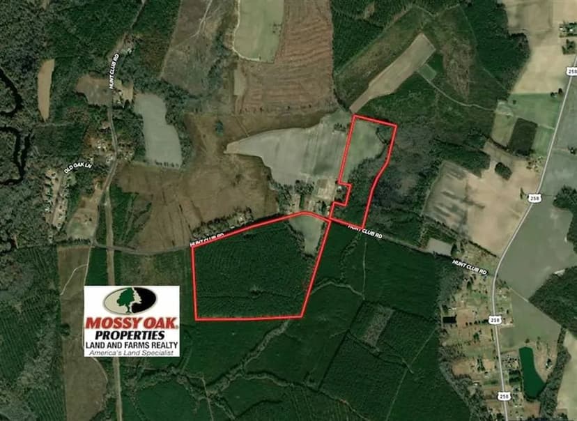 UNDER CONTRACT!! 138 Acres of Hunting Land in Isle of Wight County Virginia!