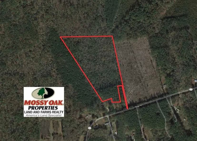 UNDER CONTRACT!! 21 Acres of Tall Timber in the Countryside of Mathews County Virginia!