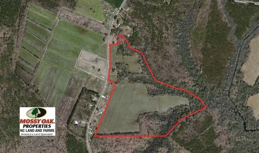 UNDER CONTRACT!! 52.43 Acres of Hunting Farm and Timberland For Sale in Camden County NC!