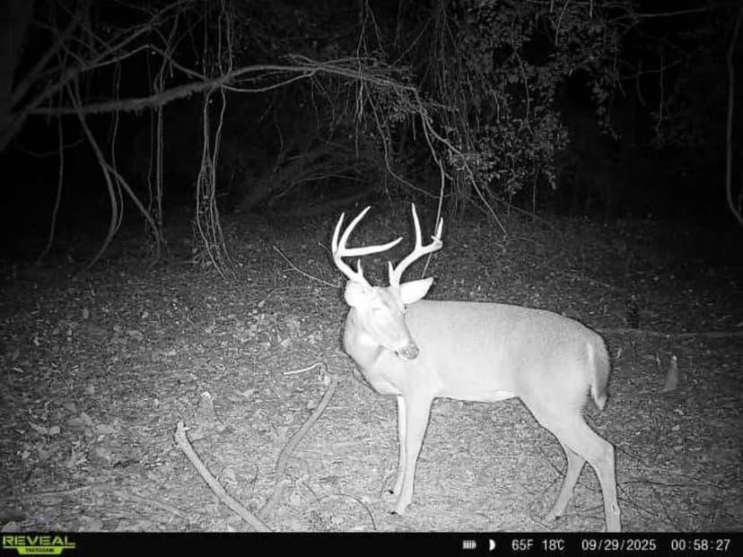 Big Black Riverfront Hunting & Fishing Paradise