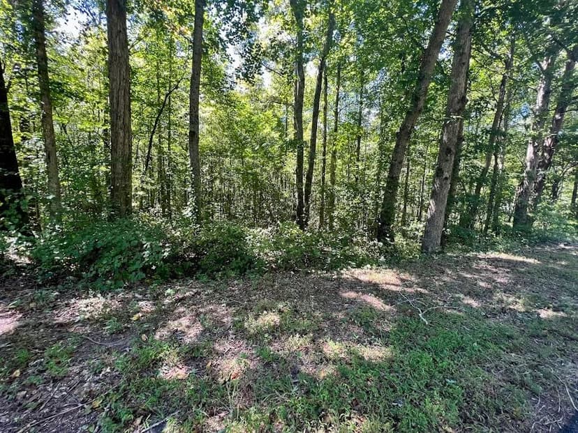 Land -Agricultural (Not Zoned) in Temple