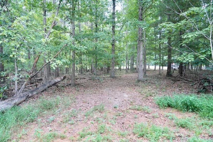 Lots & Land-Other in Waverly