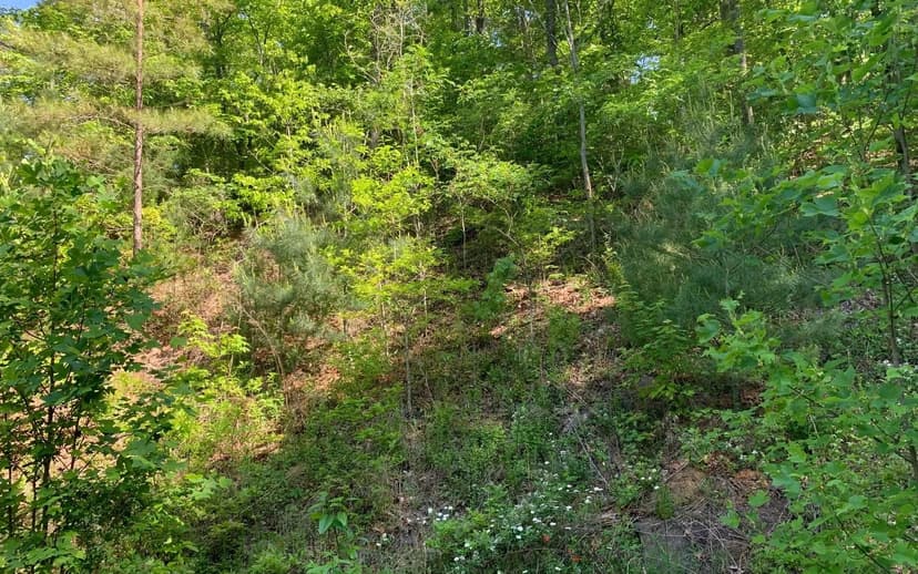 Lots & Land-Other in Brasstown