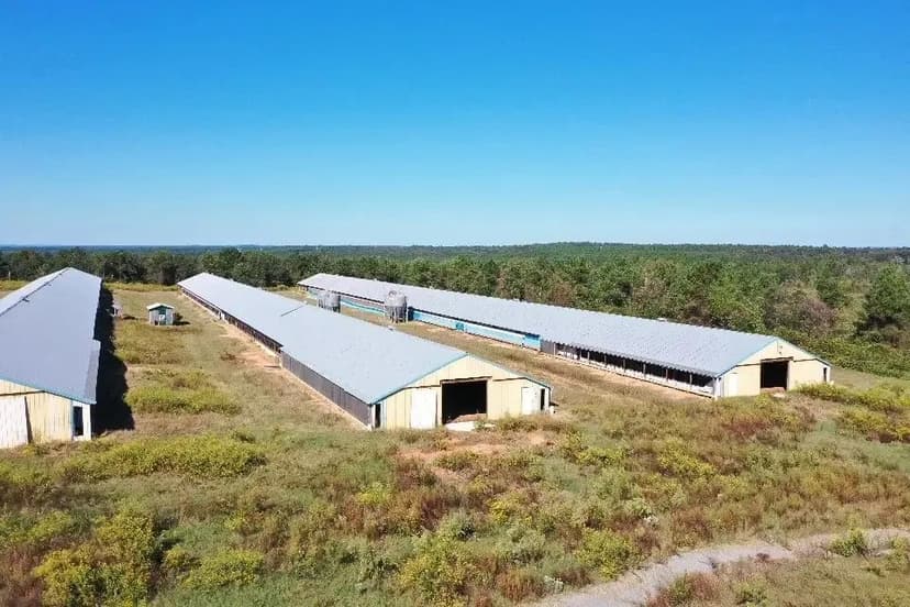 Mauk Farm – Inactive Eight House Broiler Farm in Mauk, GA