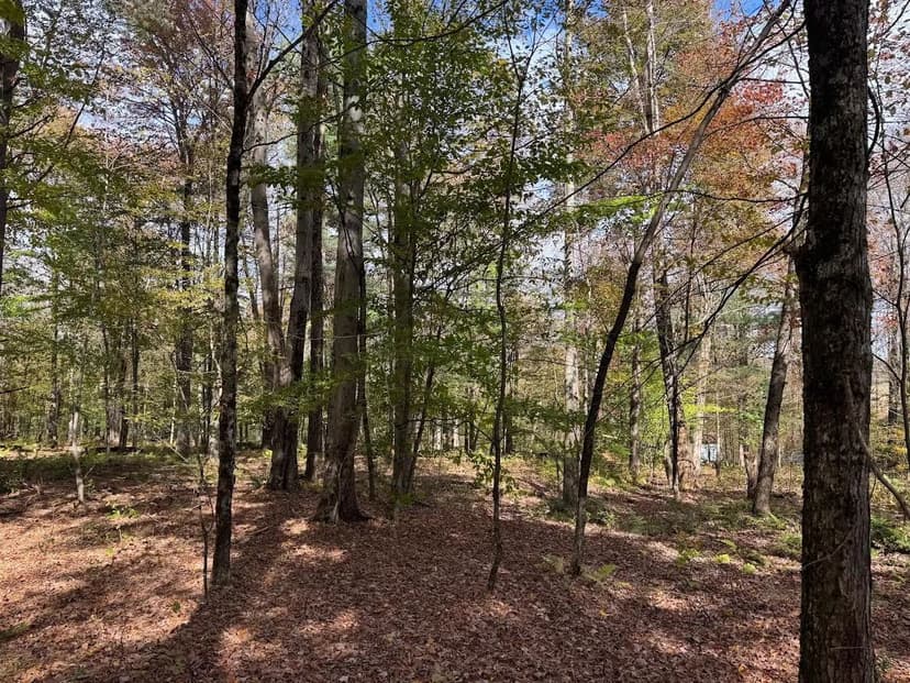 4 acre NY Southern Tier Hunting Land Preston NY