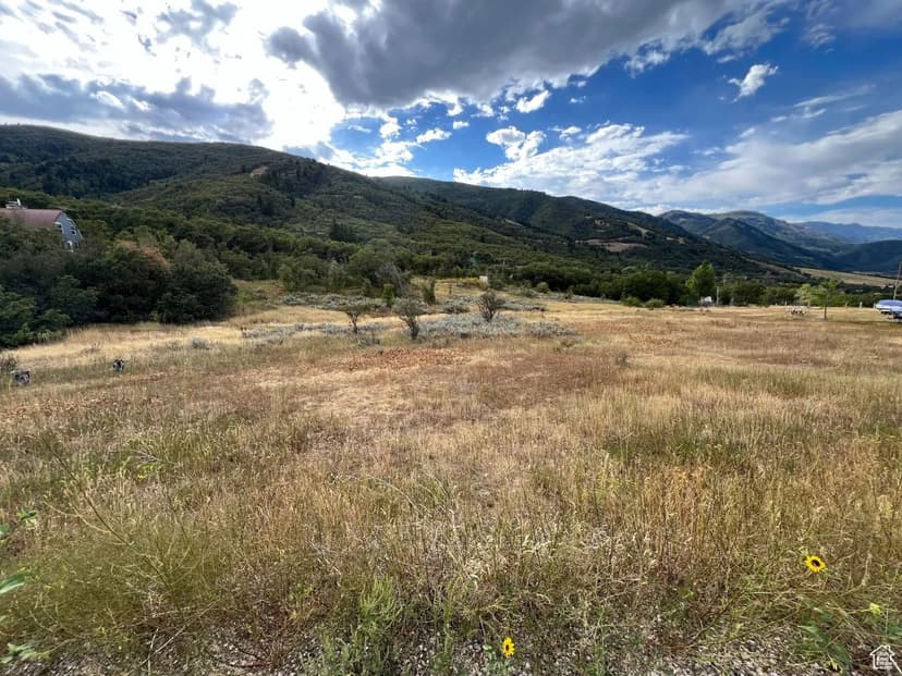 Land -Single Family Acreage in Eden