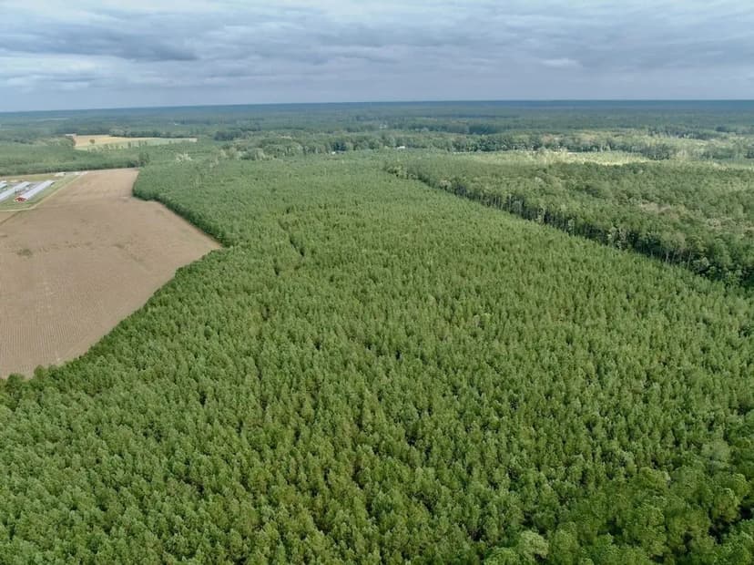 UNDER CONTRACT!! 54.42 acres of Recreational and Residential Land for Sale in Gates County NC!