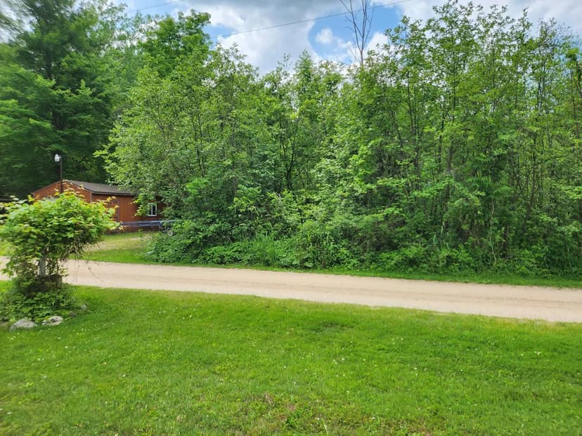 Lots & Land-Other in Reed City