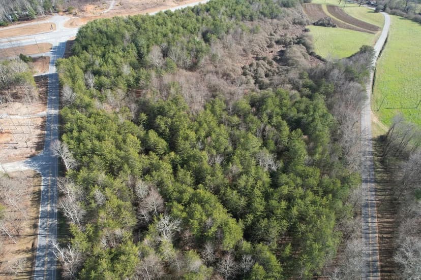 17+/- Acres- White County, GA