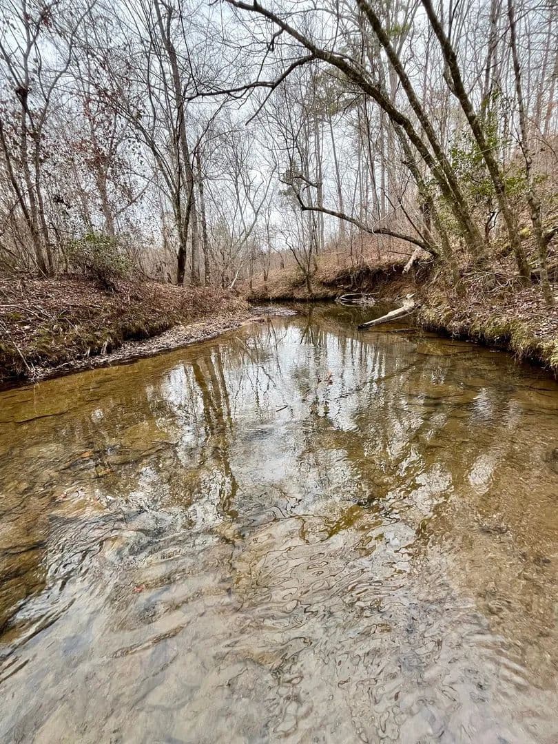 Reduced! Wedowee Tract- 236+/- acres