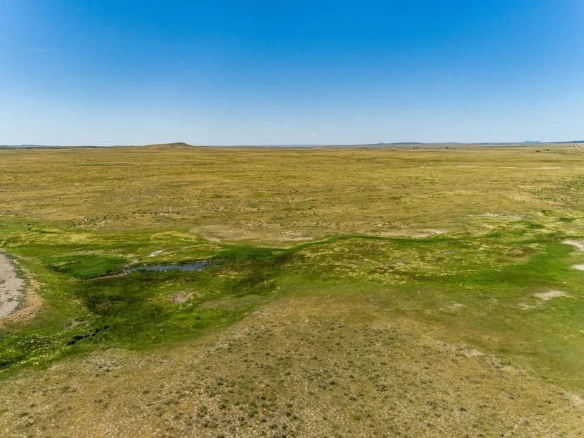 PRICE REDUCED - A&R Broiler Farm – 8 House Farm in Colquitt County, Georgia