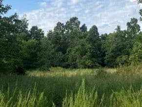 14 +/- Acres in Ranburne Town Limits