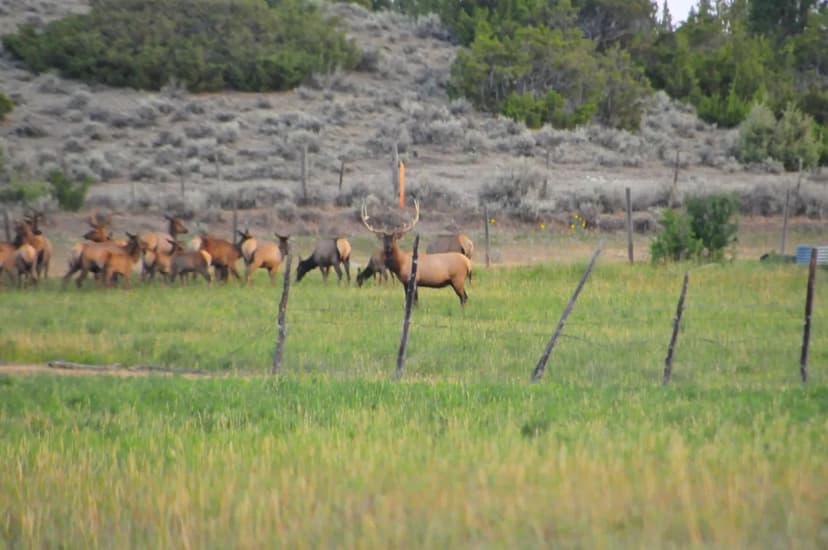 1.25 Buildable Acres