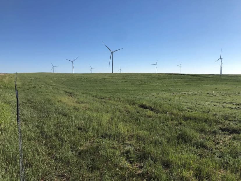 Dayquans Broiler Farm – Six House Farm near Abbeville, Georgia