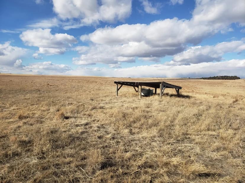 TNRN 12 House Broiler Farm – Lowndes County, AL