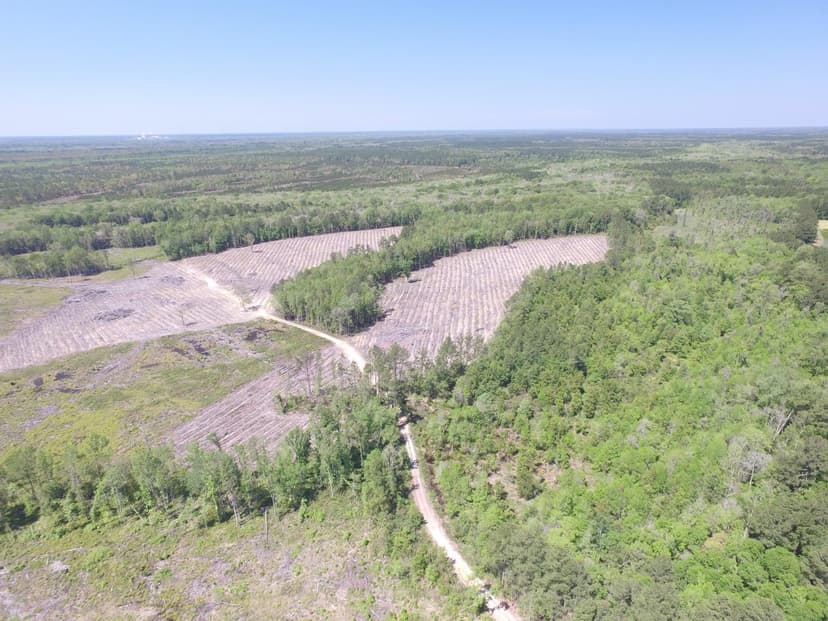Long County Jones Creek Tract