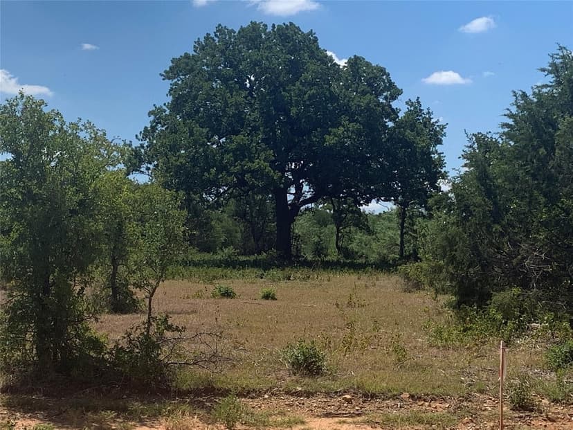 TBD New Hope Road Unit#Lot 24, Palo Pinto, Texas, 76484