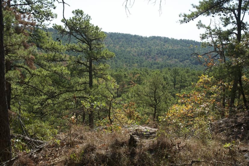 Buck Creek Recreational Hunting Ranch Moyers, Pushmataha County, OK 517 AC