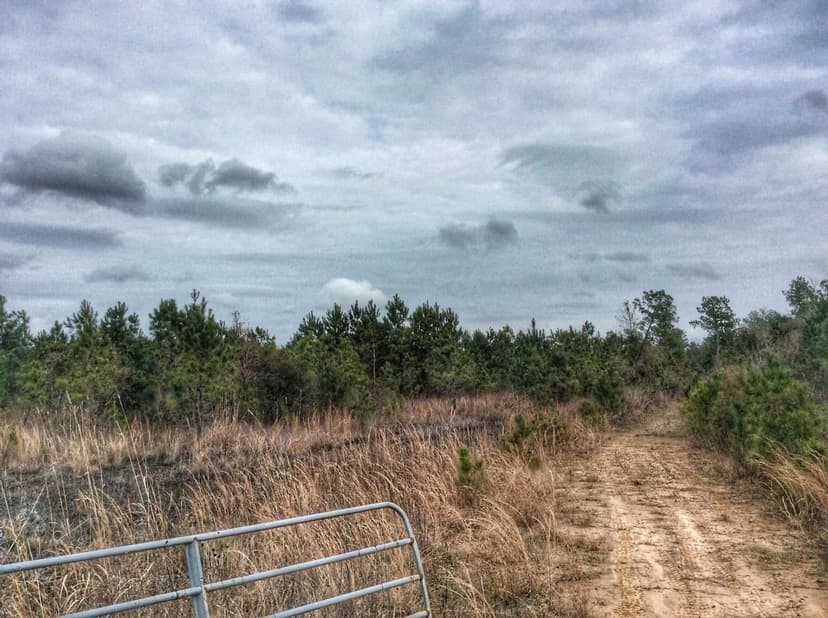 HWY 27 Tract, Calcasieu Parish, 129± Acres