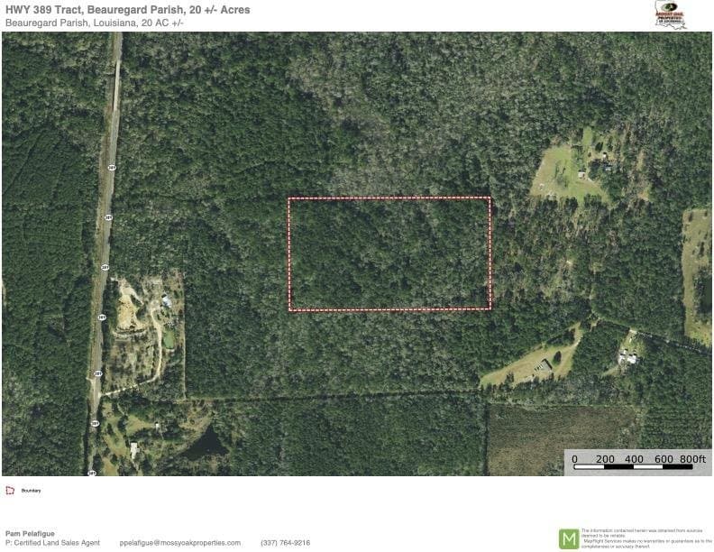 HWY 389 Tract, Beauregard Parish, 20± Acres