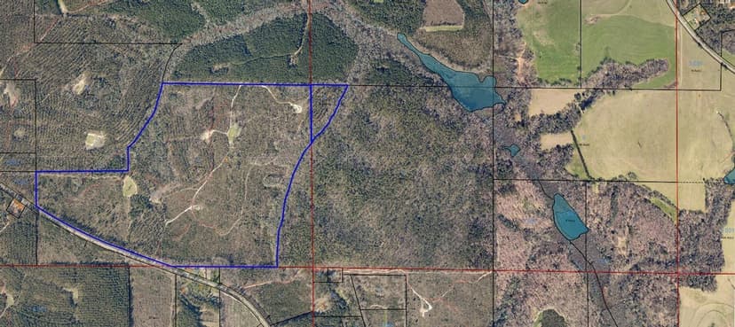 208.2 +/- Acres on Jack Hightower Road