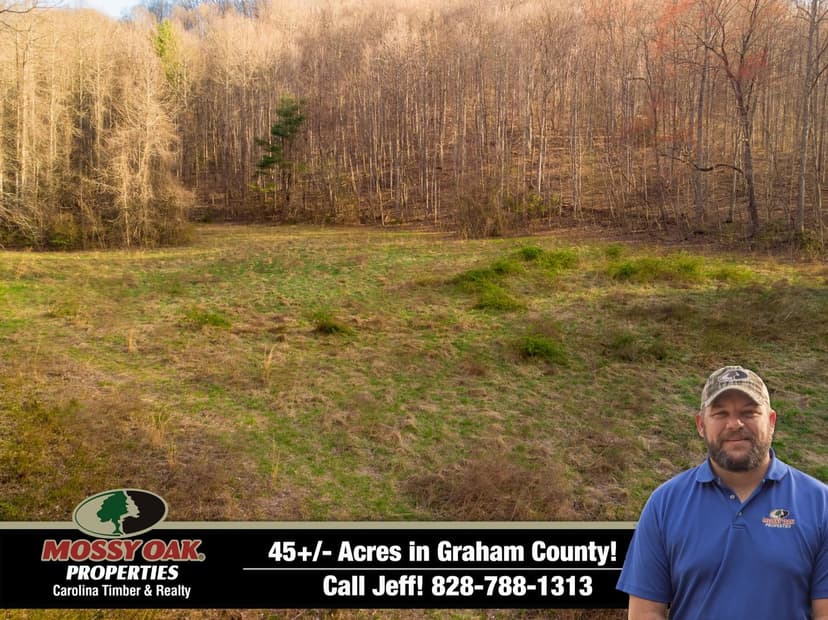 45+/- Acres Graham Co. Mountains Bordering Forest Service Land!