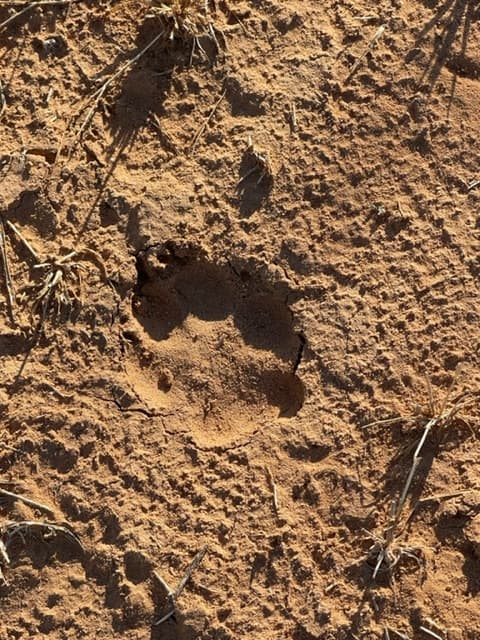 0000 County Road 1040, Midland, TX 79706