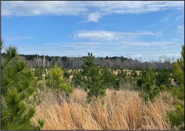 33.8 Acres in Calhoun in Pittsboro, MS