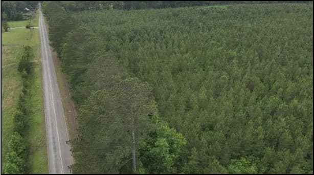 91.7 Acres in Leake County in Kosciusko, MS