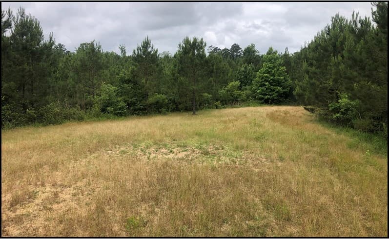 79.6 Acres in Holmes County in Durant, MS