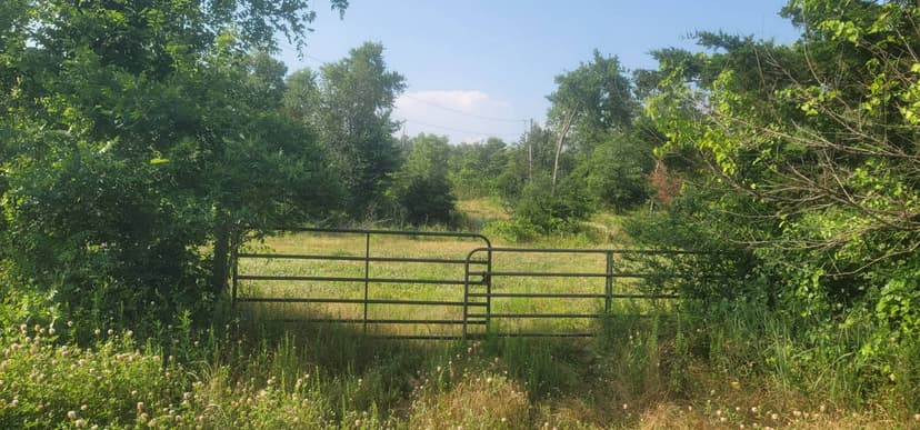 COUGAR RIDGE RANCH - SUPREME HUNTING LAND - NEW PRICE!