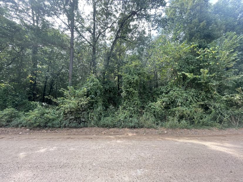 6+/- Acres, Cave City, Arkansas