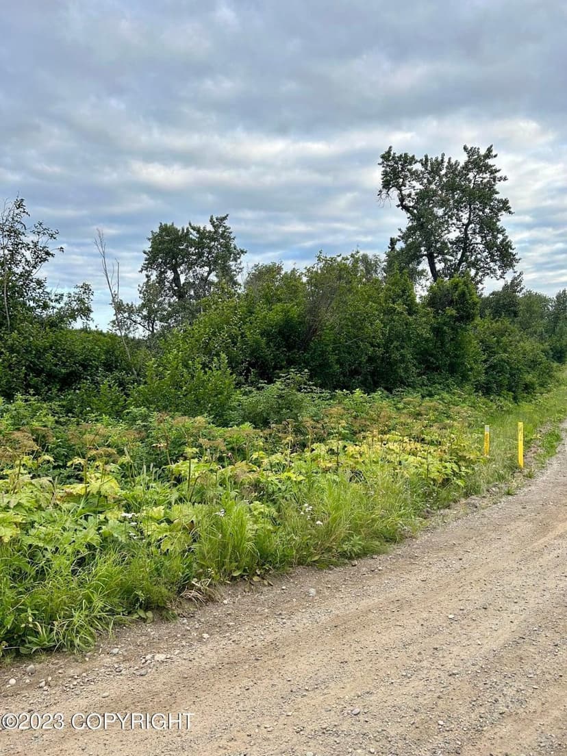 2.87 Acres in Nikski with DRIVEWAY and pad