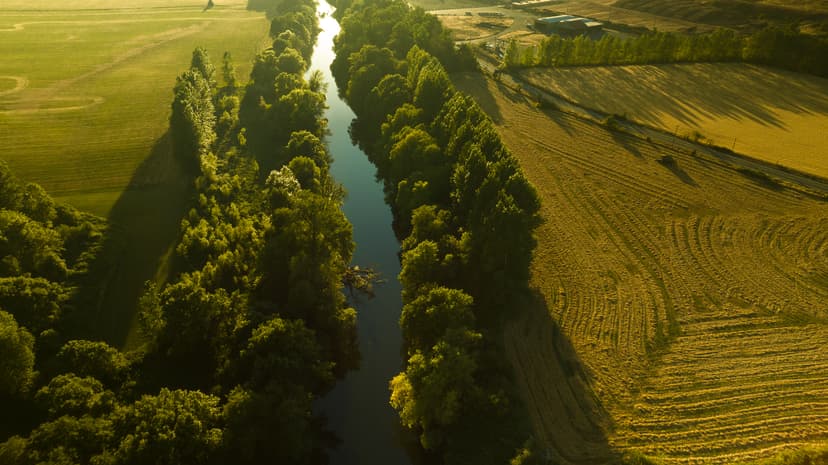 Irrigated Riverfront Farm