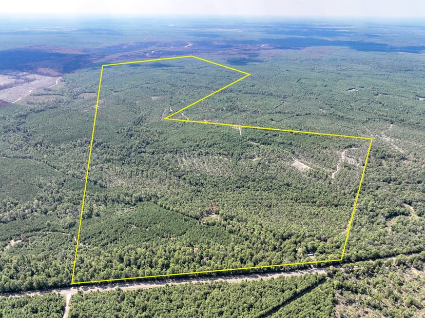 613 Acres | FM 247 | T-7