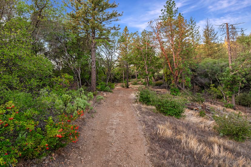 40 Acres Overlooking Lake Oroville - Private