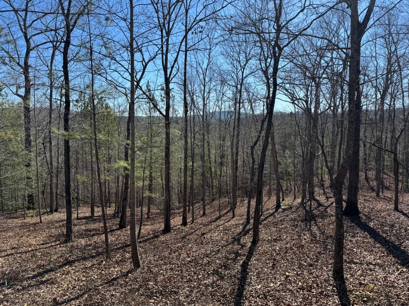 1.23 ac Land Lot-Gilmer County, GA