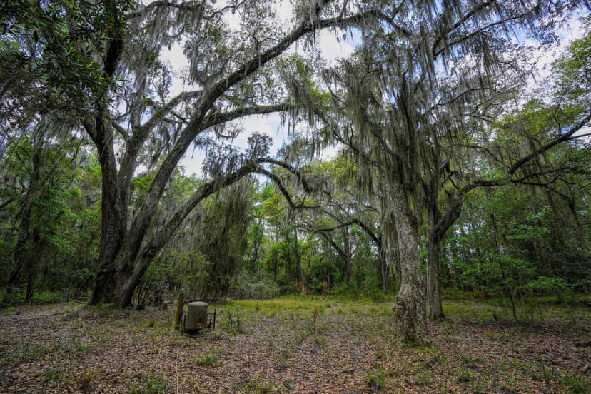 Drizzle Bluff Retreat