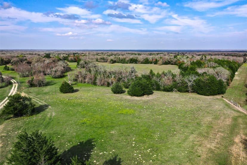 55.5 +/- Acres Limestone County, TX