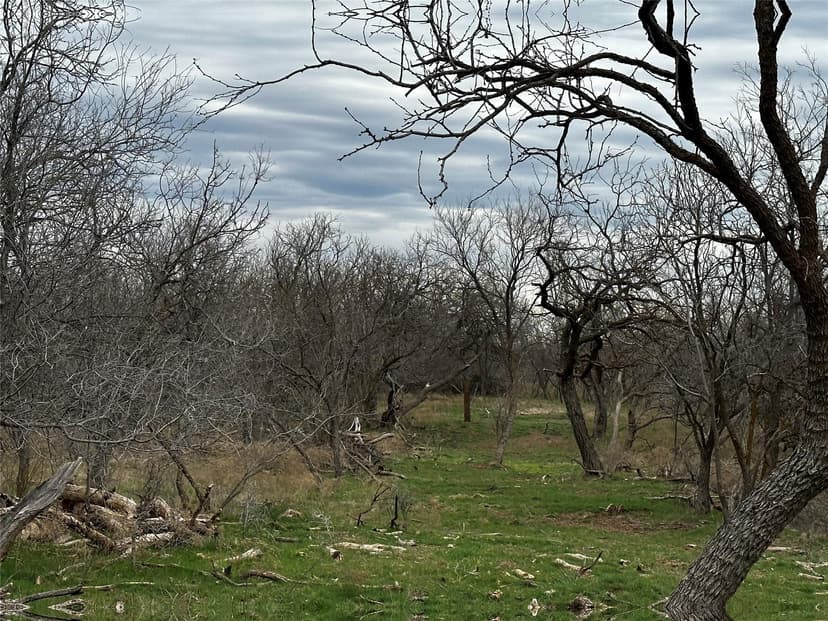 Available!! 27 Acres (Tract 23), Callahan County