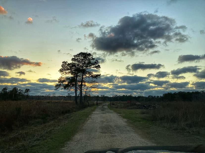 Chesson Road Tract, Calcasieu Parish, 21 Acres ≠