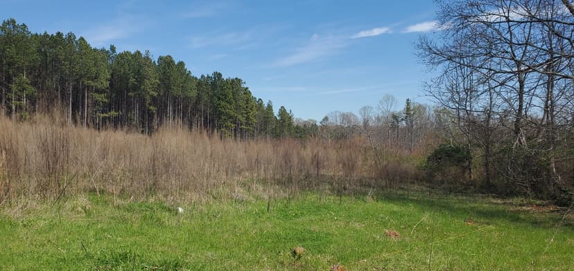 +/- 56ac - 173 Alexander Farm Rd Harmony NC - Iredell Co
