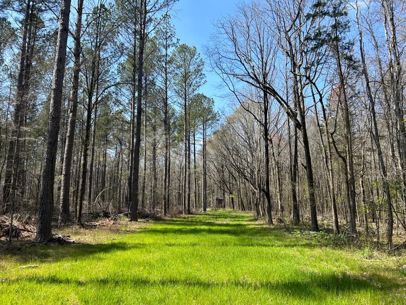 463 Acres in Calhoun County, MS