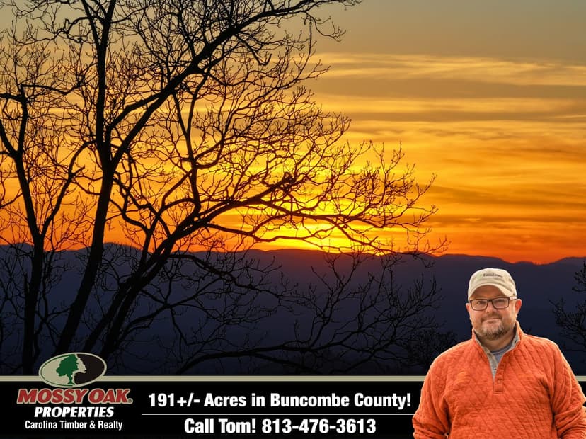 191+/- Acres Bordering U.S. Forest Service in Weaverville NC!