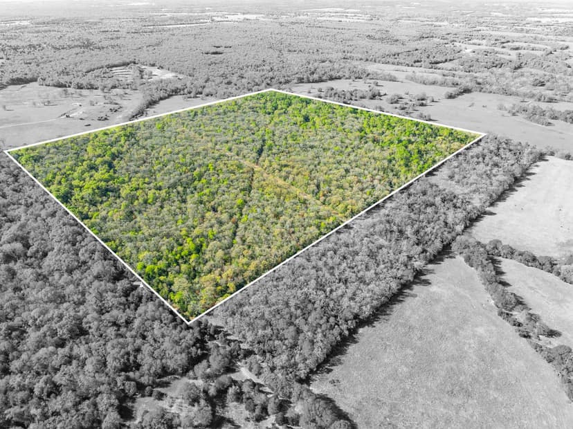 000 FM 1246, Thornton, TX 76687