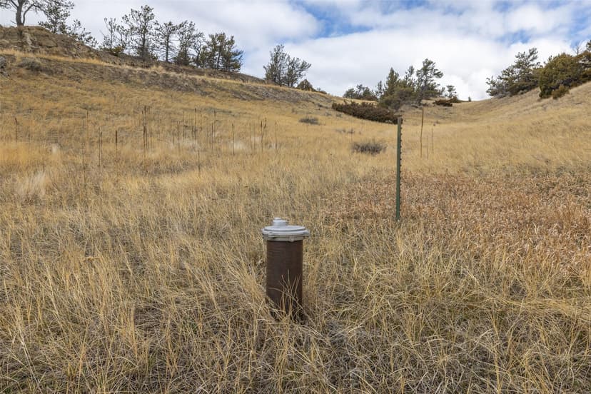 50+ Acres of Amazing Hunting/Recreational/Residential Use LAND