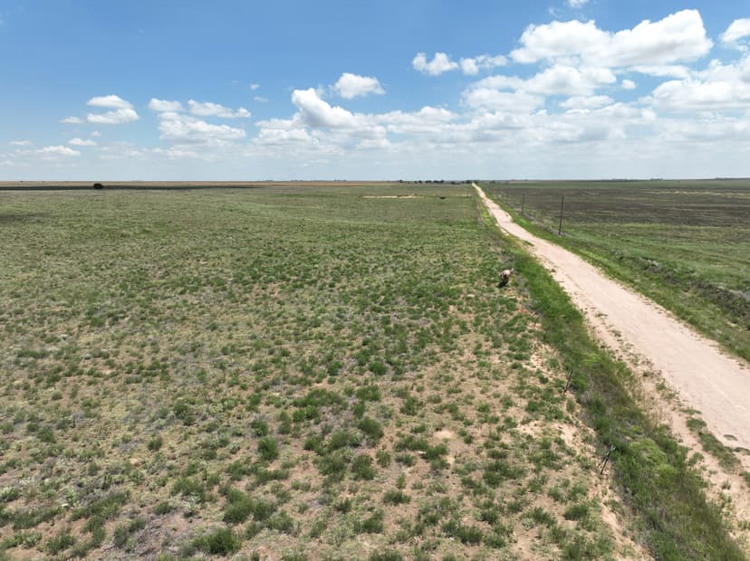 160 +/- Acres in Cimarron County