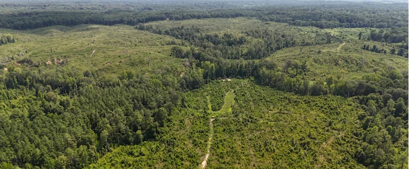 331.4 Acres in Carroll County in Cruger, MS