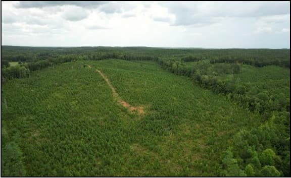 75.9 Acres in Lafayette County in Paris, MS